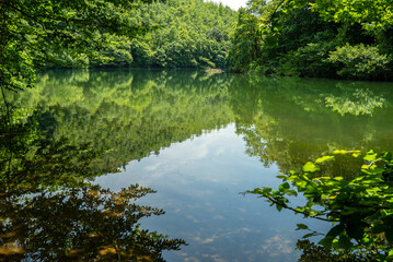 beautiful green lake, saklıgöl lake, istanbul