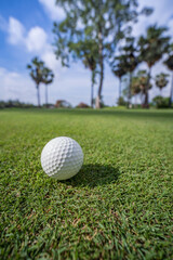 Close-up golf ball on green grass course in soft focus at sunlight.