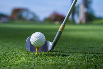 Golf club and white golf ball on green grass for golfer training ,Let's golf