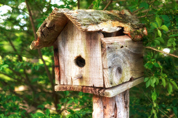 Rustic wooden birdhouse in the colorful garden outdoors.