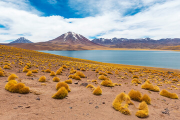 Landscape of the high altitude Miscanti Lagoon with snow on the Andes mountain peaks, Atacama...