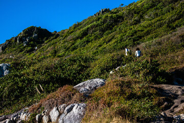 Lagoinha do Leste Florianopolis Santacatarina Brasil