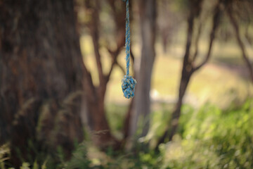 Rope with knot hanging from tree in natural bush setting. Outdoor nature activities.
