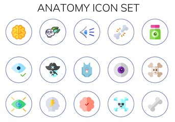 anatomy icon set