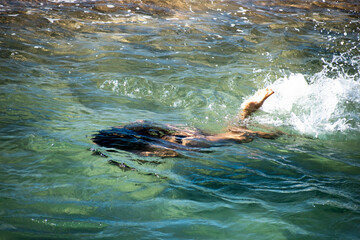 Lagoinha do Leste Florianopolis Santacatarina Brasil