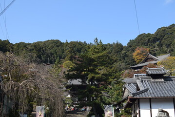 長谷寺建造物