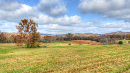 Fototapeta premium farmland in the hills