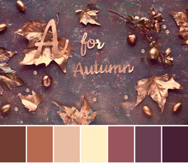 Color matching palette from stylish image of Autumn flat lay with painted golden leaves and text 