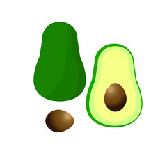 avocado vector illustration