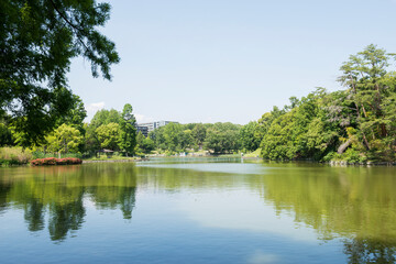 Fototapeta na wymiar 千里南公園