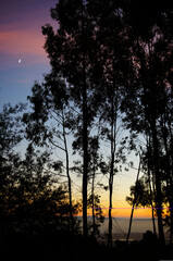 Rainbow sunset through the trees