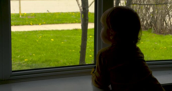 Toddler boy looking out a window.