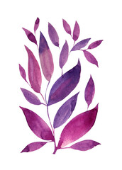 Watercolor hand-drawn abstract floral colorful pink and purple branch with leaves background. Art creative nature object for card, wrapping, textile, wallpaper.