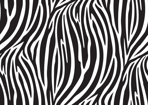 Zebra seamless pattern in abstract style on black background. Vector illustration. Camouflage.