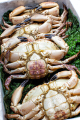 Display of large fresh crabs for sale at a market
