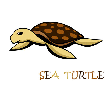 Vector illustration cartoon on a white background of a cute sea turtle.