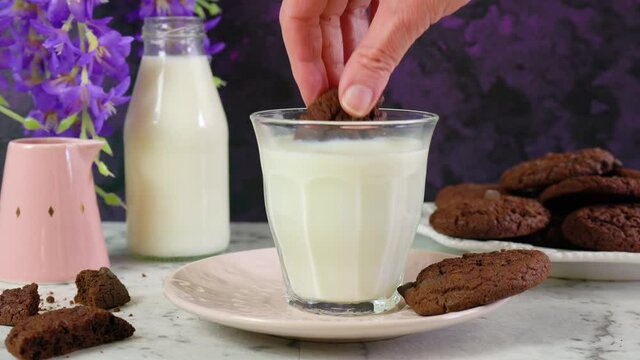 Dunking one double chocolate chip homemade cookie in glass of milk in creative vintage setting against a purple and white marble background. Video footage.