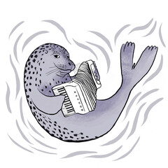 foca tocando acordeón © marcela paz