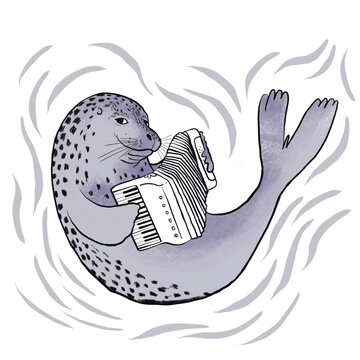 foca tocando acorde&oacute;n