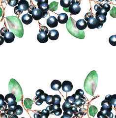 A currant branch, pattern, watercolor (7)