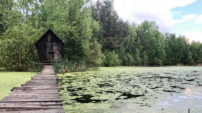 "Domek Shreka" na jednym z jezior pojezierza Palowickiego niedaleko Rybnika