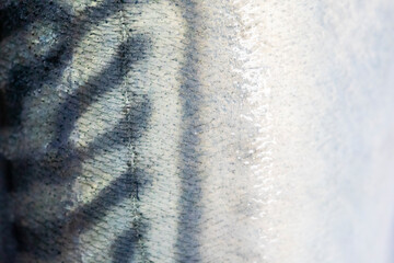 Saba skin fish background and texture.