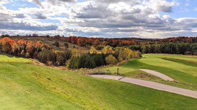Beautiful golf course scenery on a cloudy autumn day. The cart path is paved around the rolling green hills, the leaves are changing colours, and the plants are swaying with the wind.