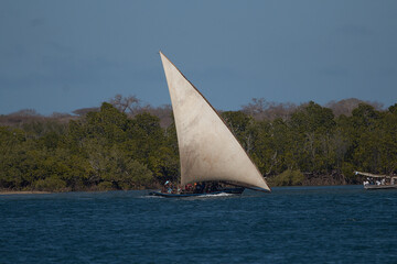 sunset sunrise over the sea, Lamu Kenya Africa. Dhow