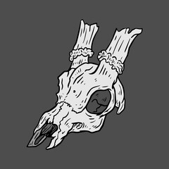 hand drawn vector illustration of a deer skull