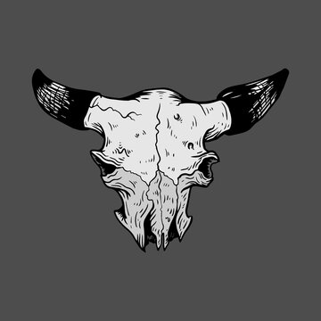 hand drawn vector illustration of a cow skull
