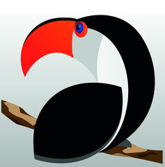 Tucan logo isolated on white background , colorful vector icon, brand sign