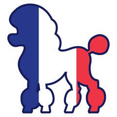 poodle dog