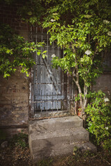 in old building an old barred overgrown door