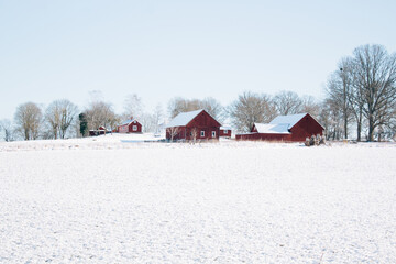Typical red farmhouses in the Swedish winter, winter scene, sunny and blue sky