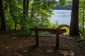 in  forest there is a park bench on the shore of a lake