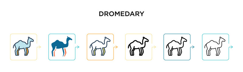 Dromedary vector icon in 6 different modern styles. Black, two colored dromedary icons designed in filled, outline, line and stroke style. Vector illustration can be used for web, mobile, ui