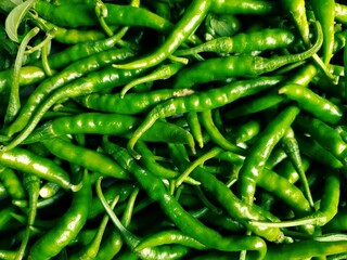 Best green chilliese for super market sale on colections natural health ingirjdeants vigitebals chillie papers