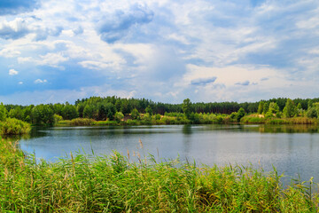 Naklejka na ściany i meble View of a beautiful lake in a pine forest at summer