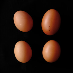 Egg in the black bacground