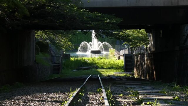 京都 蹴上インクラインの新緑景色