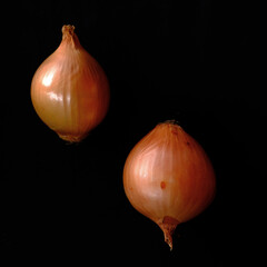 Baby onion and "bombay" onion