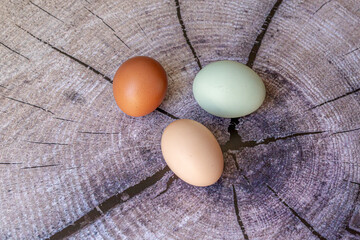 Multicolored village chicken eggs on the background of the image of a stump