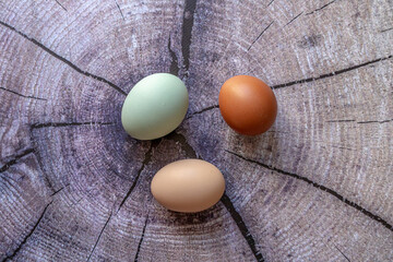 Multicolored village chicken eggs on the background of the image of a stump