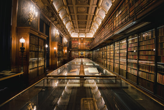 A beautiful library with books and displays