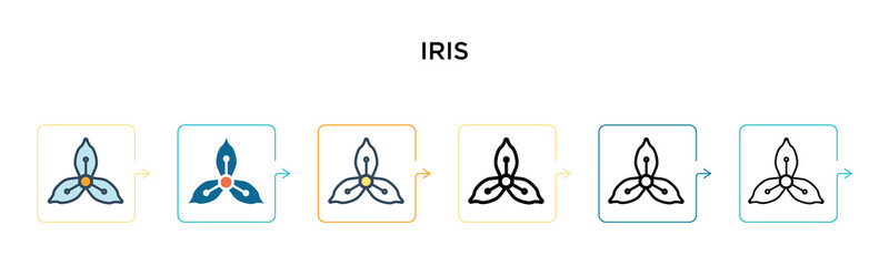 Iris vector icon in 6 different modern styles. Black, two colored iris icons designed in filled, outline, line and stroke style. Vector illustration can be used for web, mobile, ui