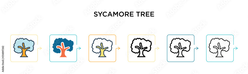 Poster sycamore tree vector icon in 6 different modern styles. black, two colored sycamore tree icons desig