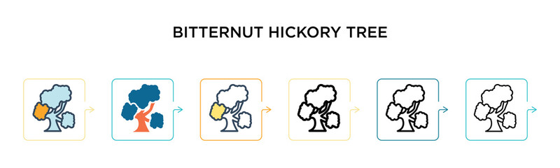 Bitternut hickory tree vector icon in 6 different modern styles. Black, two colored bitternut hickory tree icons designed in filled, outline, line and stroke style. Vector illustration can be used for