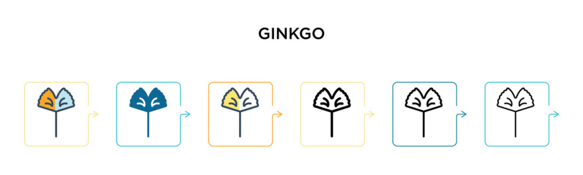 Ginkgo vector icon in 6 different modern styles. Black, two colored ginkgo icons designed in filled, outline, line and stroke style. Vector illustration can be used for web, mobile, ui