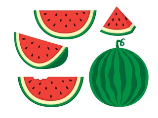 Watermelon vector pack illustration
