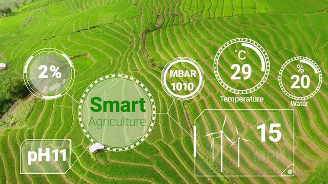 Smart digital agriculture technology by futuristic sensor data collection management by artificial intelligence to control quality of crop growth and harvest. Computer aided plantation grow concept.